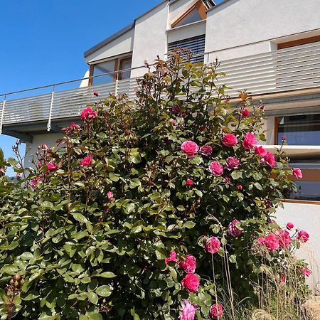 Ferienwohnungen Im Rosengarten Bodman-Ludwigshafen Luaran gambar