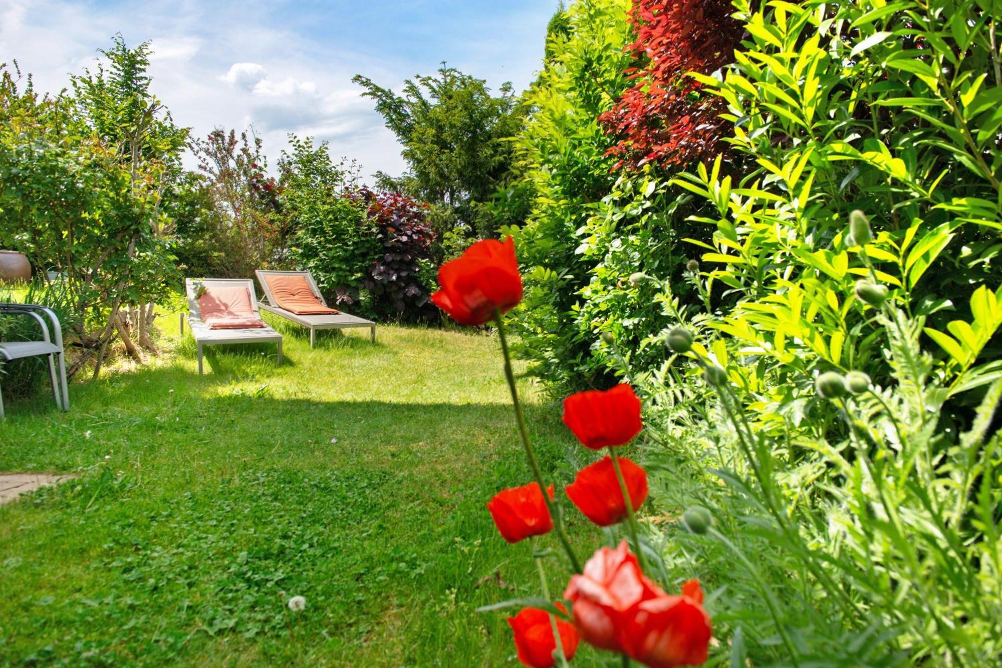 Ferienwohnungen Im Rosengarten Bodman-Ludwigshafen Luaran gambar